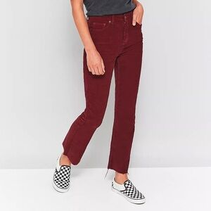 BDG UP Corduroy Pants in Burgundy, size 24